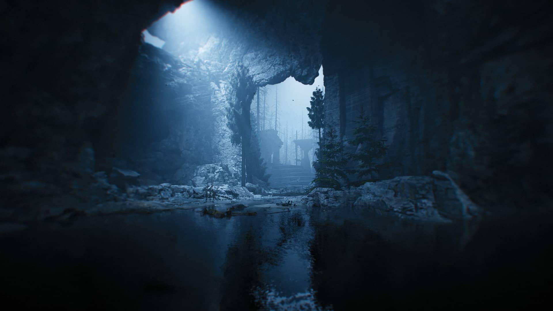 Lucid Falls